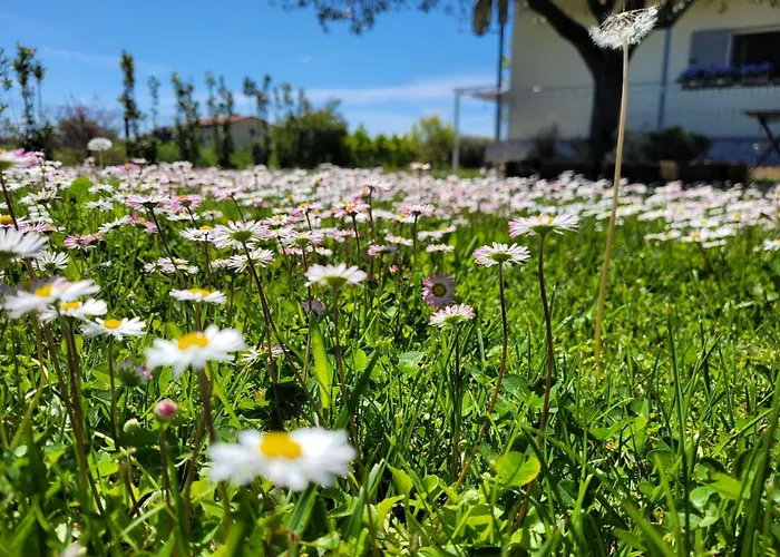 Tatil Evi Nereide *