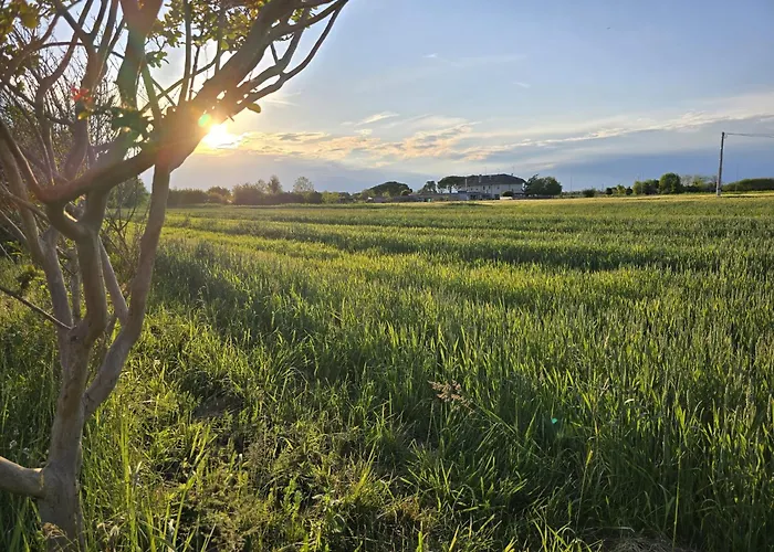 Tatil Evi Nereide Cavallino-Treporti